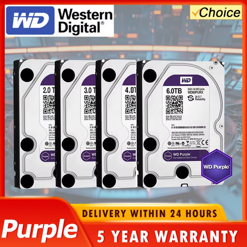 Hdd sorveglianza viola 4 - viola, da