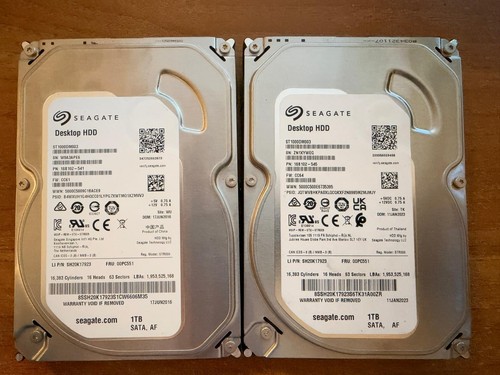 Coppia hard disk seagate - di,